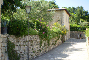 Orti-giardino a Bagno Vignoni (Si)