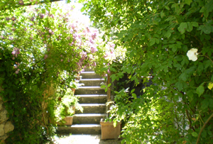 Orti-giardino a Bagno Vignoni (Si)