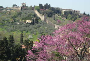 Orti-giardino a Firenze ed Arezzo