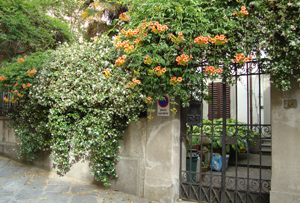 Orti-giardino a Firenze ed Arezzo