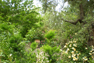 Orti-giardino a Montepulciano (Si)
