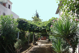 Orti-giardino nella periferia orientale romana