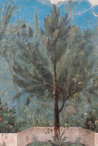 La tangenziale dismessa