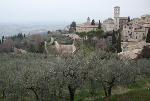 Assisi (pg), frutteti e uliveti lungo la cinta muraria del centro storico