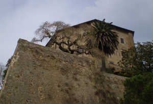 Capodimonte (Vt): orto-giardino