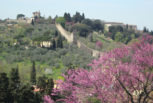 Firenze: uliveti, orti e giardini a Boboli