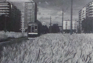 Milano estate 1941: grano in Piazza della Repubblica