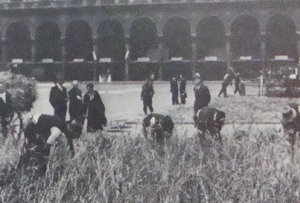 Milano estate 1941: grano in Piazza del Duomo
