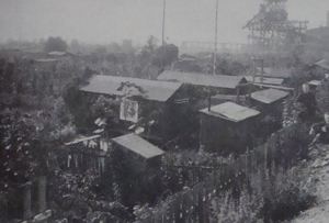 NeuKolln (berlino) 1912: colonia di orti operai