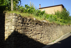 Pienza (Si): orto murato