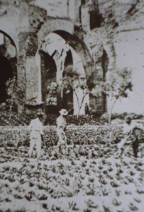 Roma 1850 circa: orti e frutteti presso il tempio della Minerva Medica