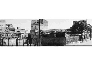 Roma: orti al Pigneto intorno al 1960