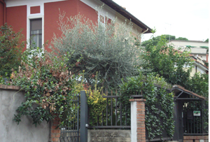 Orti-giardino residenziali