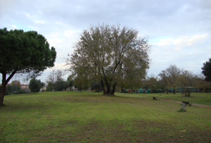 Orti in citt