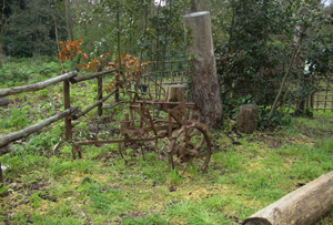 Vecchi atterzzi agricoli