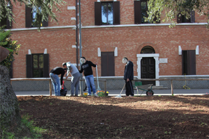 Preparazione del terreno per la semina del prato