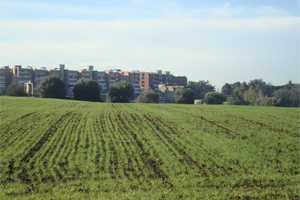Seminativi dell'azienda