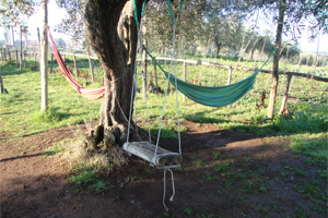Un angolo per riposare